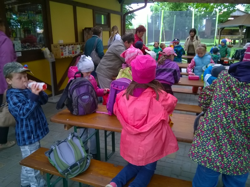 Vlet do kovozoo 1