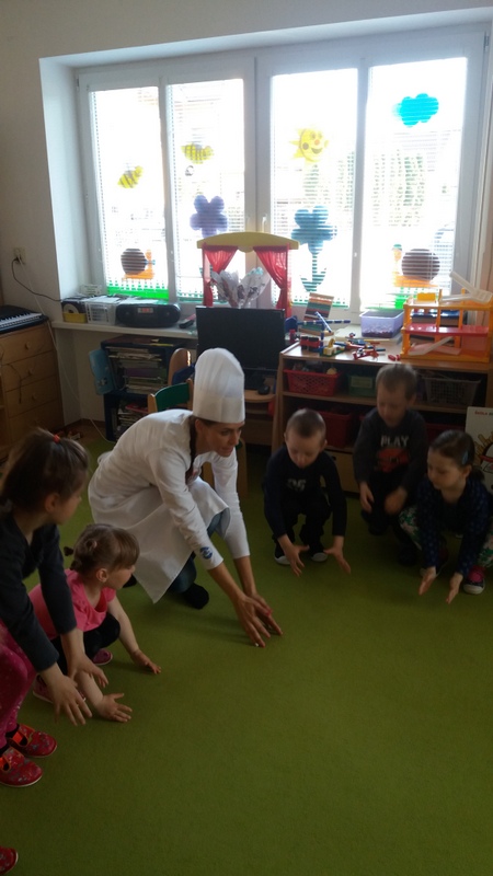 Program zdrav ptka