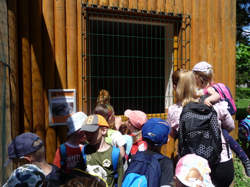 VLET - Dinopark a ZOO Vykov III. 
