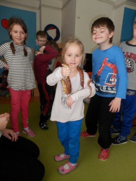 Vukov program Povdn se zvtky II.