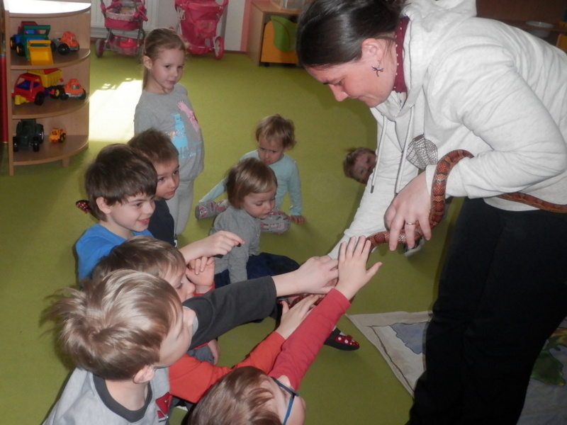 Vukov program Povdn se zvtky II.