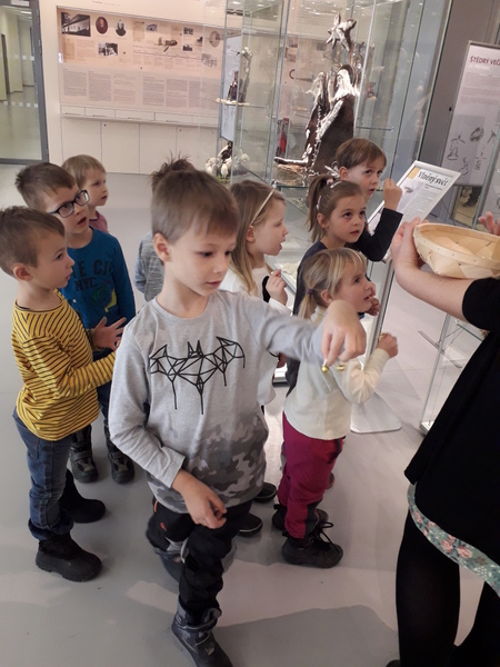 Muzeum Zln - blounk jehtko pro mal dtko...