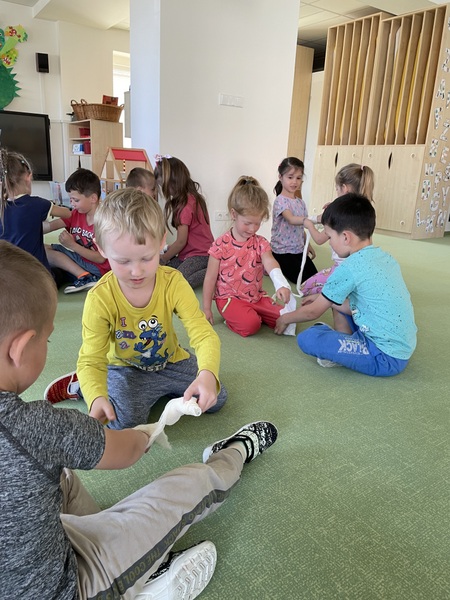 Vukov program Dopravn hrtky u vrabc
